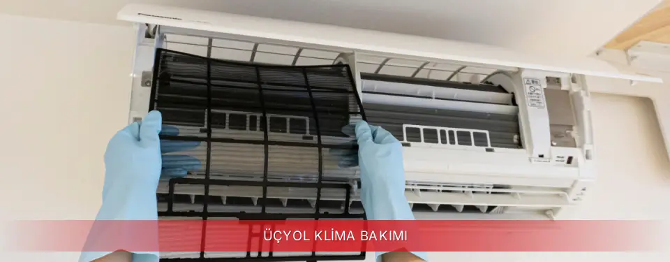 Üçyol İlçemi Regal Klima Bakımı